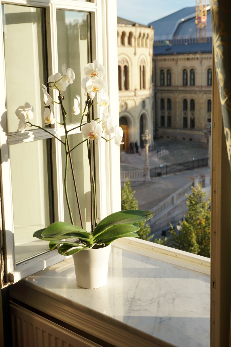 Fun Mother's Day Activities That Moms Would Love To Do - A Luxury Vacation Abroad