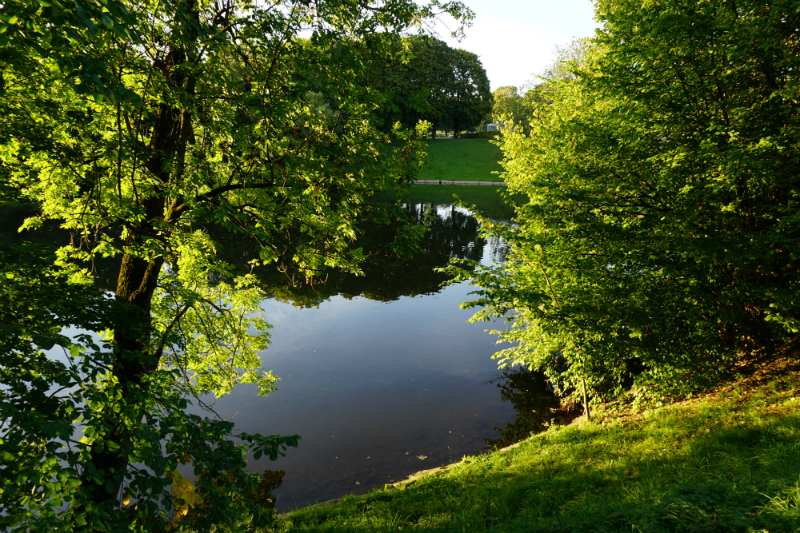 Fun Mother's Day Activities That Moms Would Love To Do - A Picnic in the Park