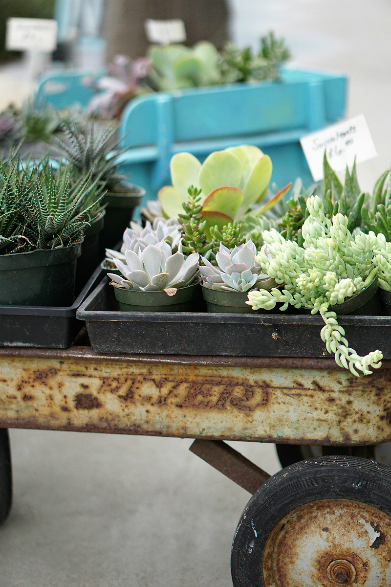 Fun Mother's Day Activities That Moms Would Love To Do - DIY Home and Garden Projects