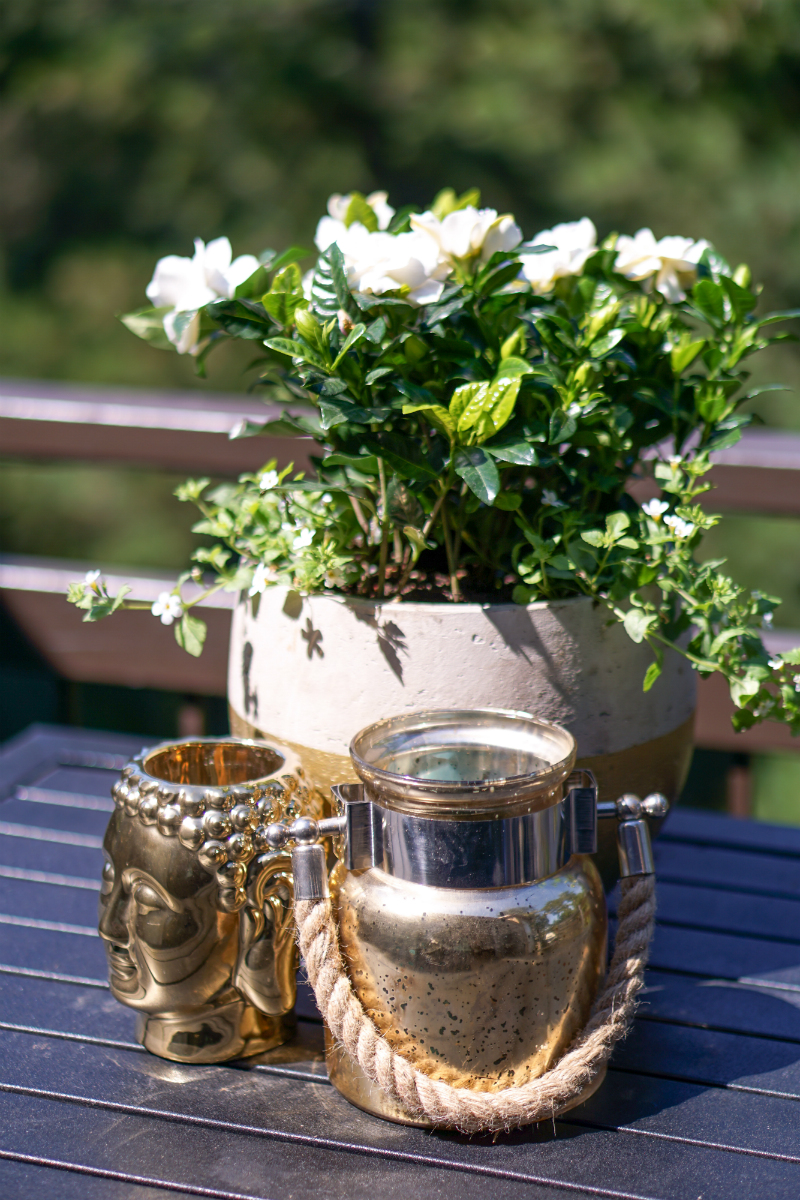 Summer Gardening Guide: How To Quickly & Easily Update Your Patio