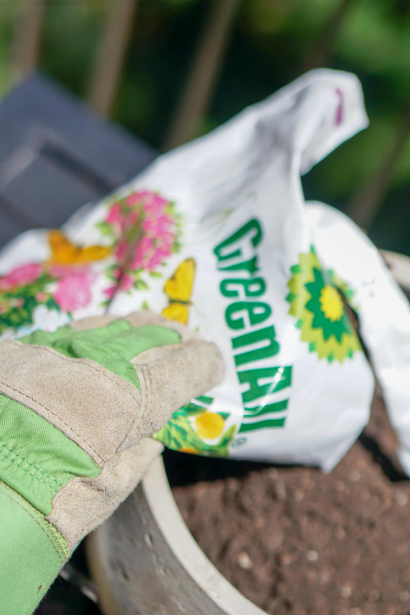 Summer Gardening Guide: How To Quickly & Easily Update Your Patio
