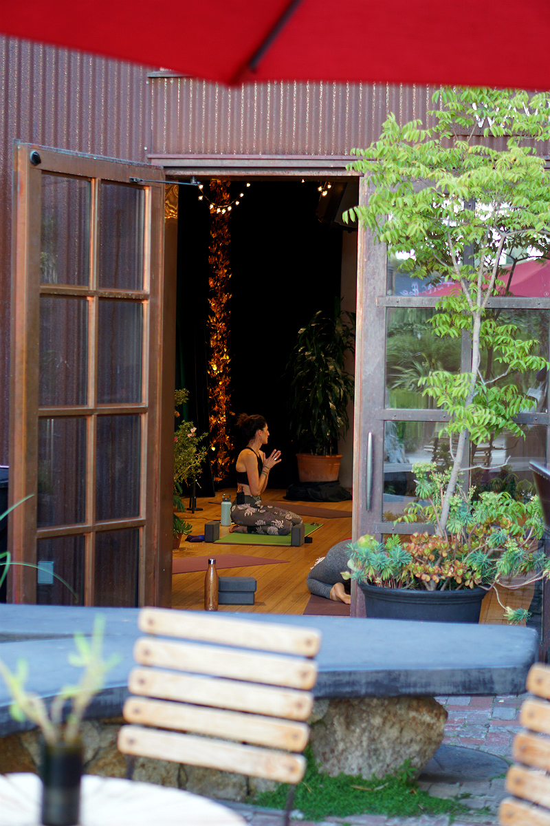 The Yogi Journal - Finding Self-Discovery and Personal Power Through Yoga