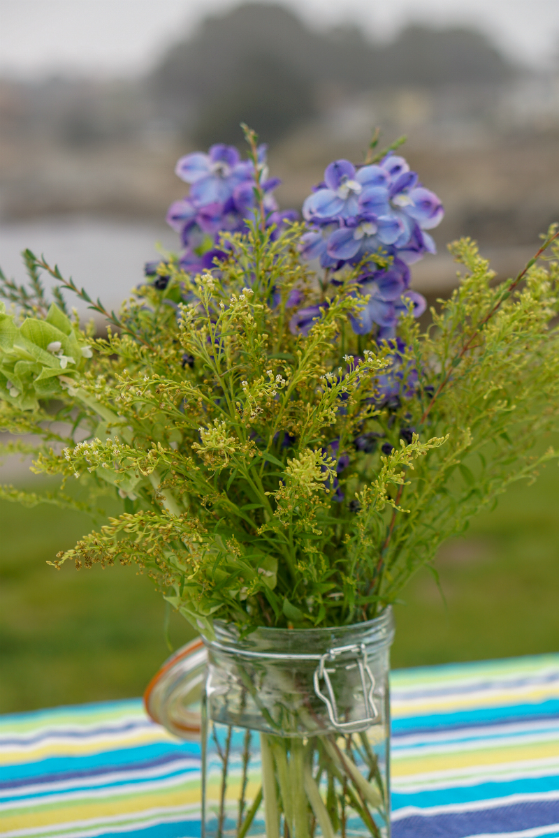 Easy Entertaining Guide - How To Host a Pizza Party in The Park