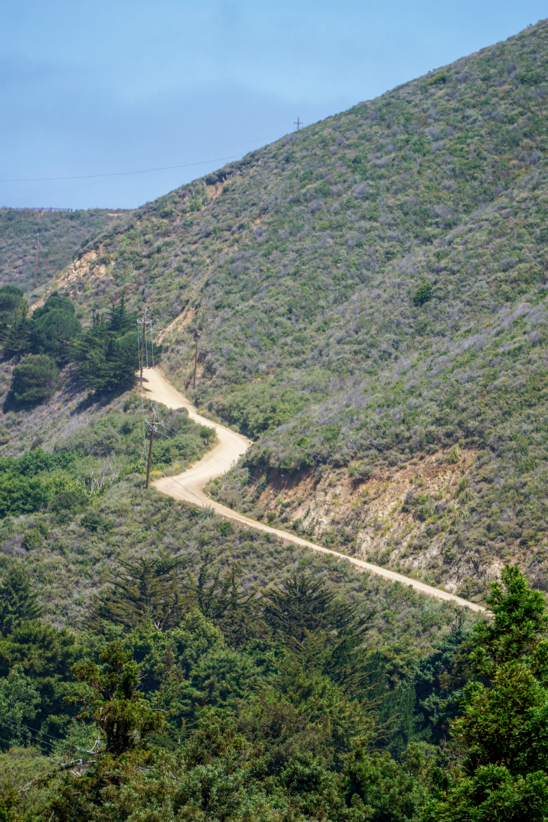 The Local's Guide to Big Sur - Where To Go and What To Do in Big Sur California