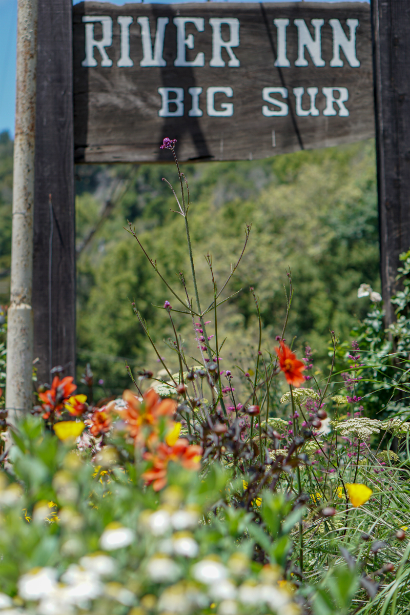The Local's Guide to Big Sur - Where To Go and What To Do in Big Sur California