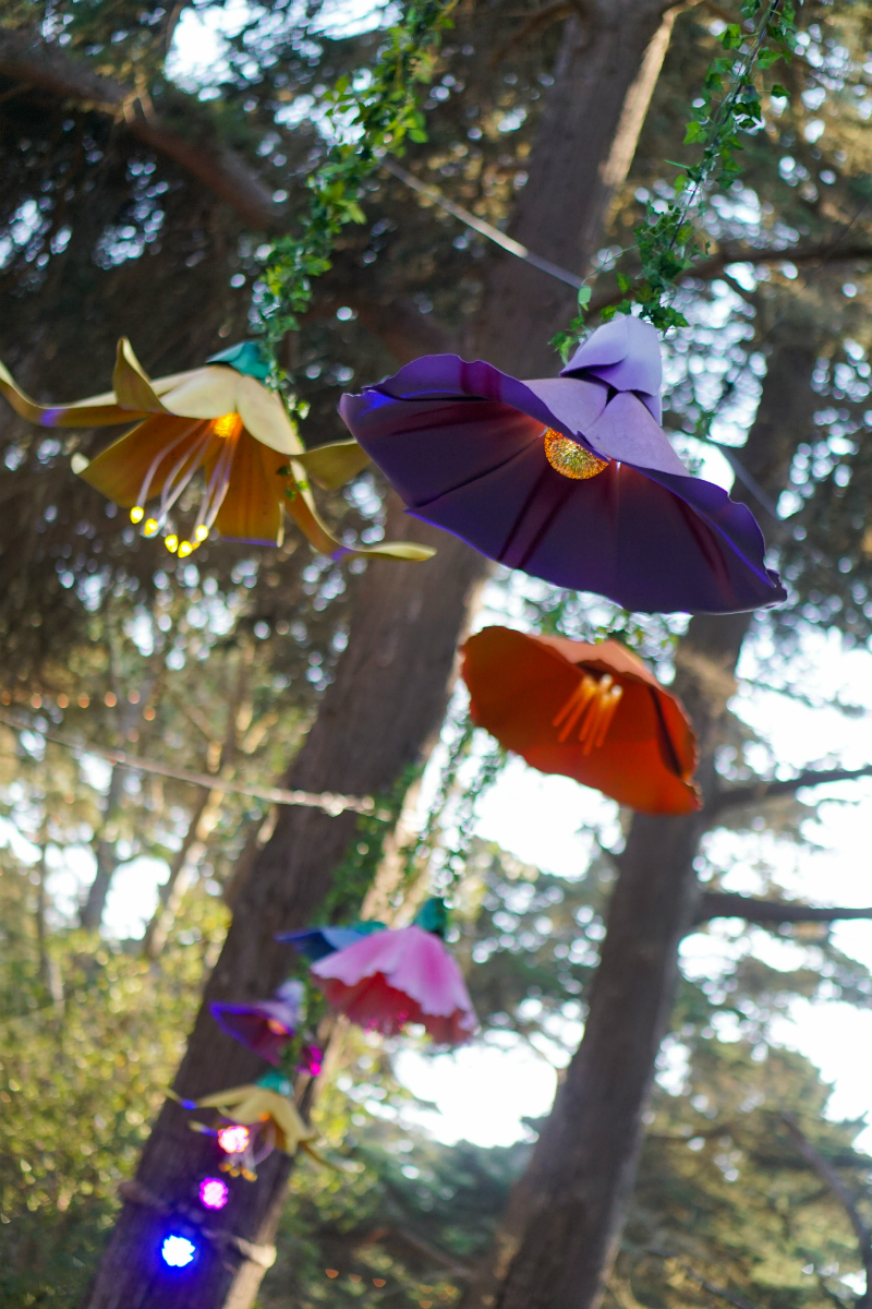 2018 Outside Lands Music Festival San Francisco