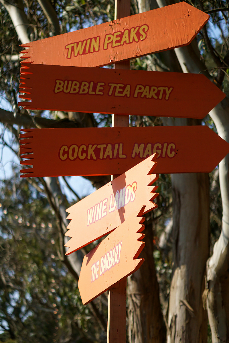 Outside Lands Music and Arts Festival San Francisco