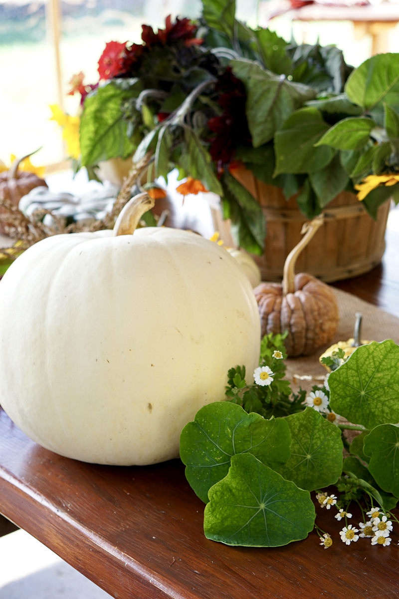 DIY Pumpkin Flower Centerpiece Tutorial