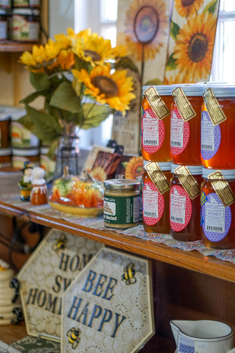 Fall Fashion Guide: What To Wear To Go Apple Picking