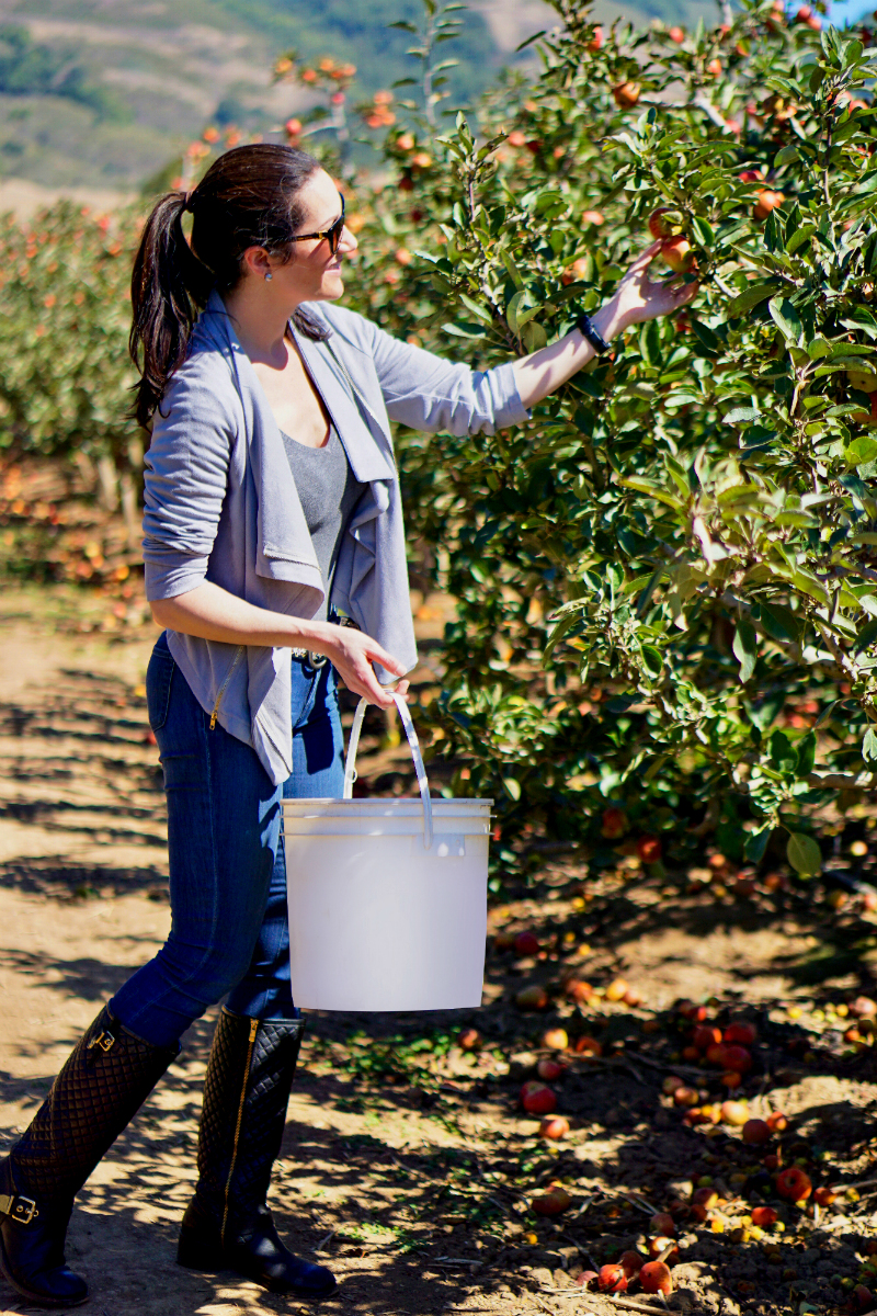 Fall Fashion Guide: Stylish & Budget-Friendly Everyday Essentials