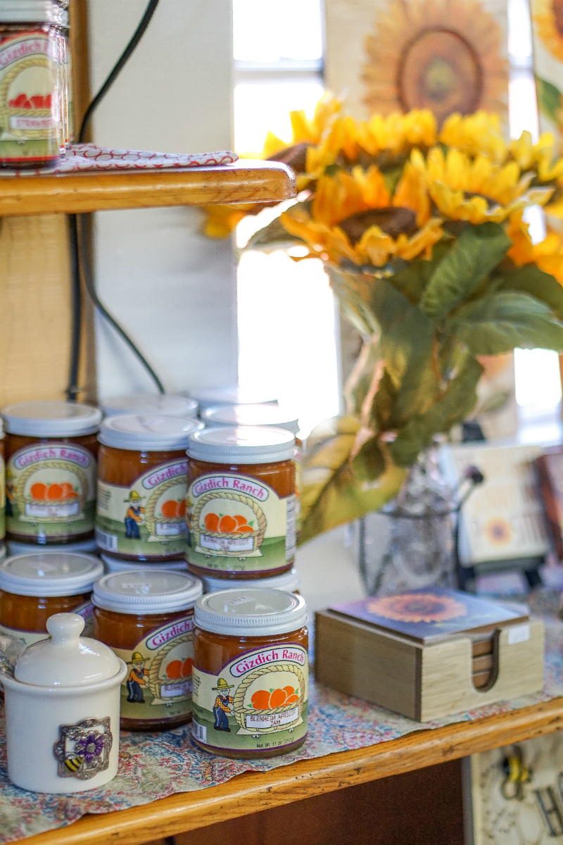 Fall Fashion Guide: What To Wear To Go Apple Picking