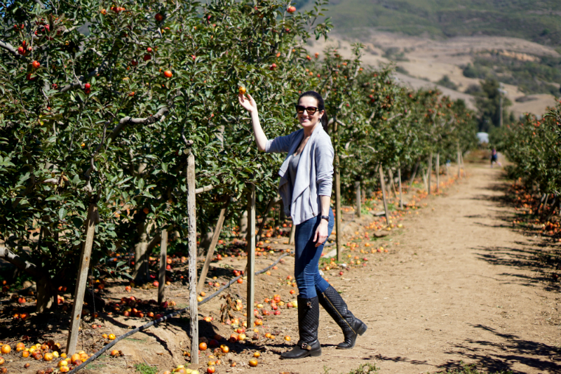 Fall Fashion Guide: Stylish & Budget-Friendly Everyday Essentials