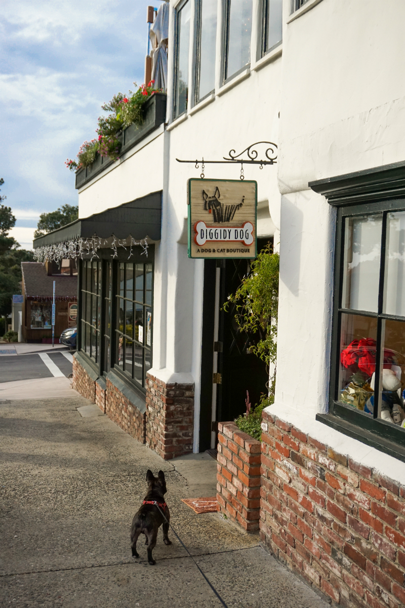 Celebrating Christmas in Carmel-by-the-Sea