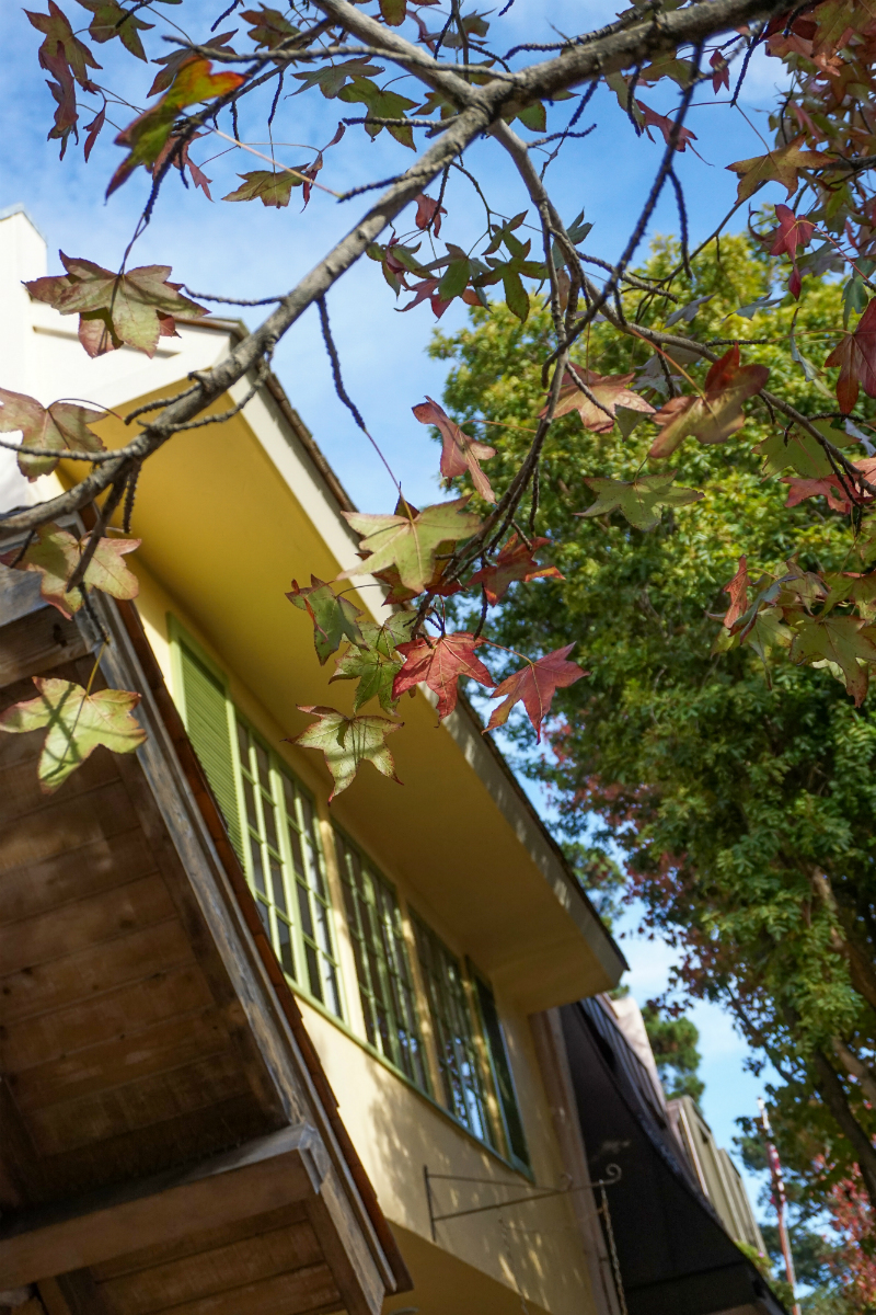 Celebrating Christmas in Carmel-by-the-Sea