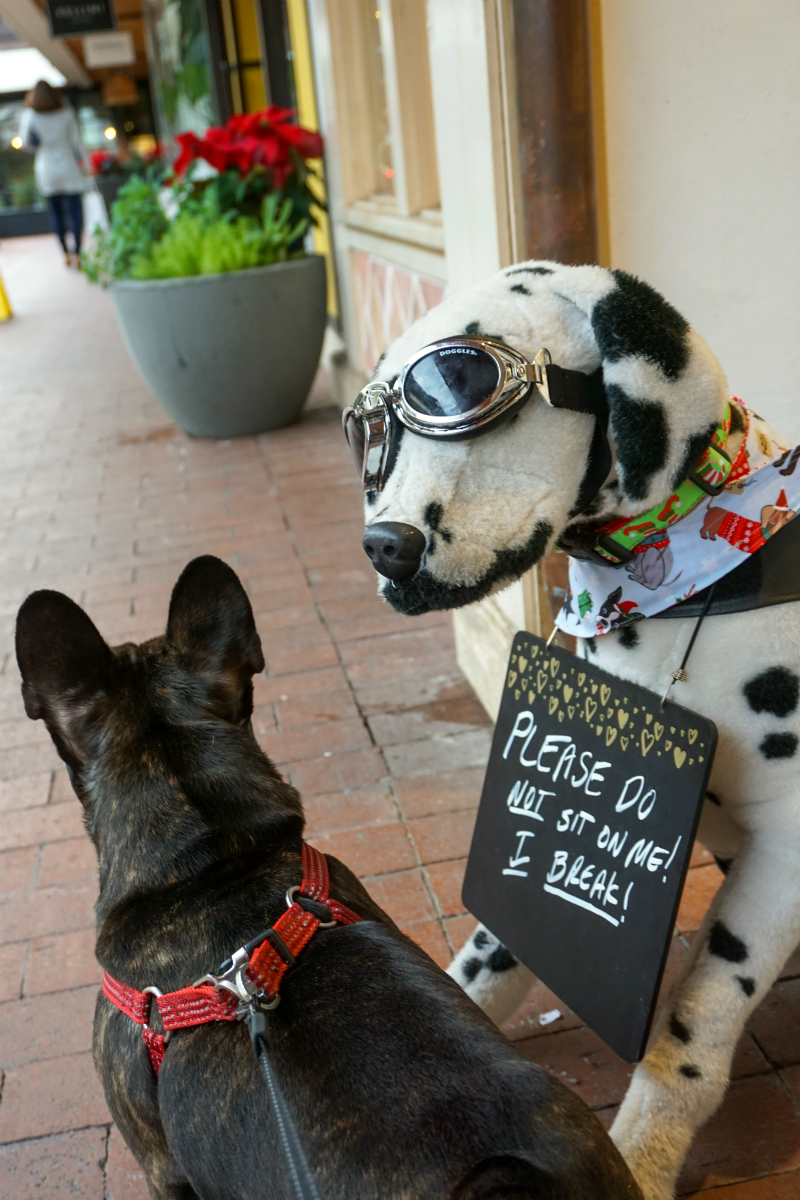Celebrating Christmas in Carmel-by-the-Sea