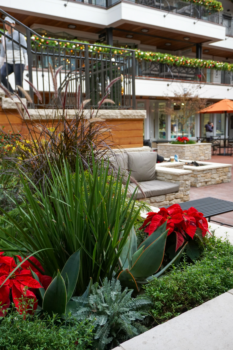 Celebrating Christmas in Carmel-by-the-Sea