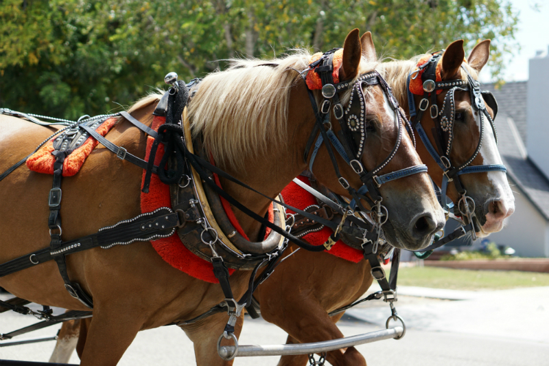 5 Romantic Places in California To Celebrate Valentine's Day - Solvang