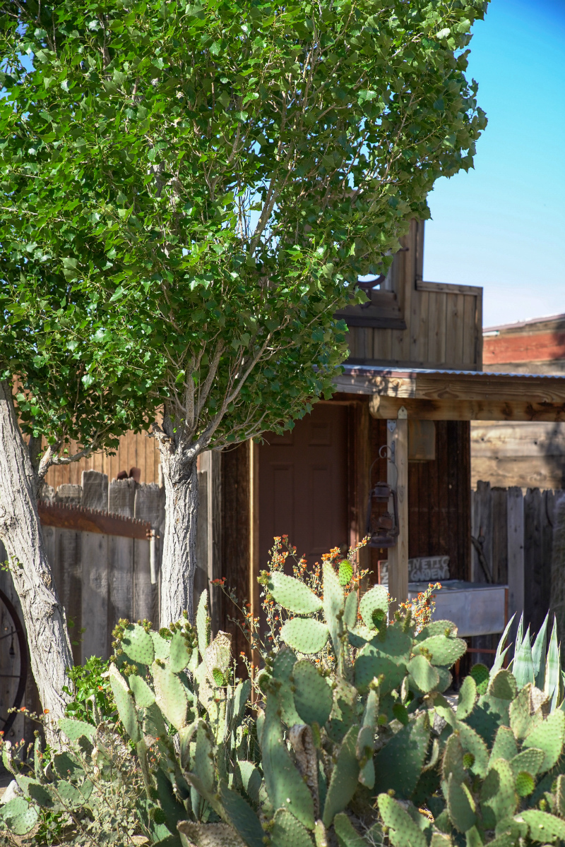 2019 Aether Rally in Pioneertown Joshua Tree