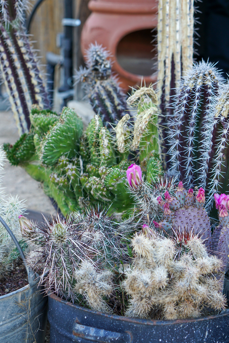 2019 Aether Rally in Pioneertown Joshua Tree