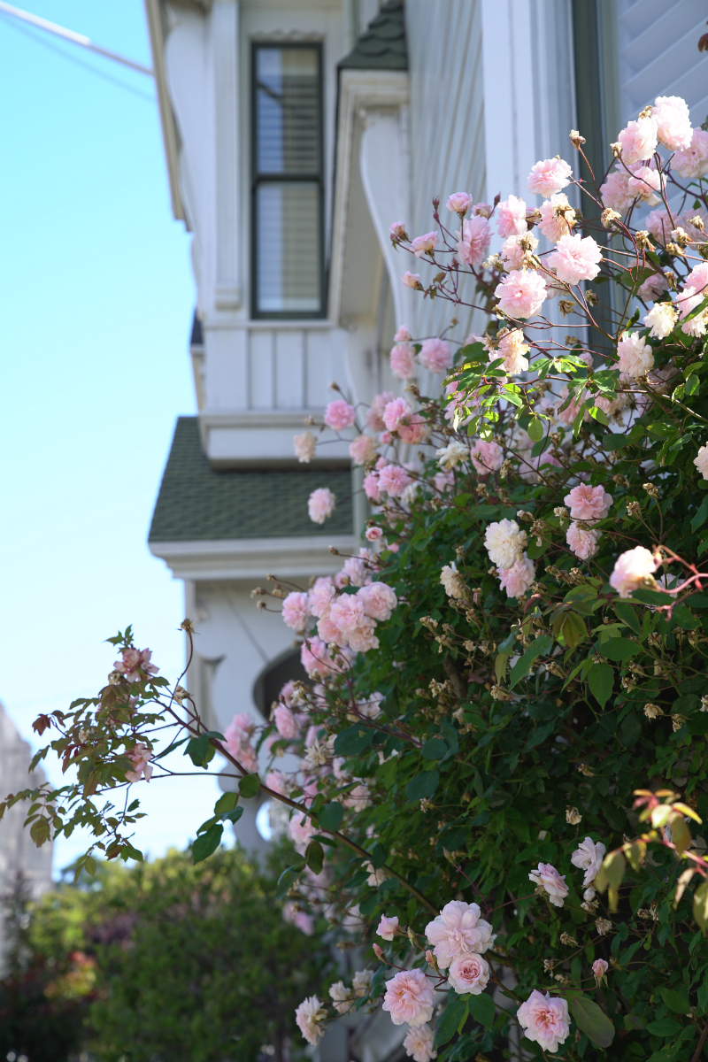 5 Relaxing Things To Do This Weekend To Refresh Your Outlook