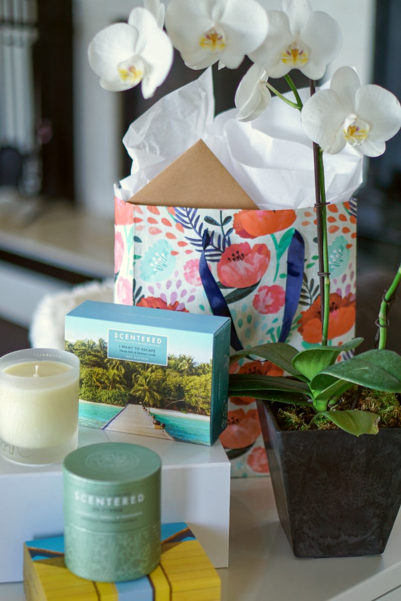 Easy Effortless Ways To Create an Eco-Friendly Home