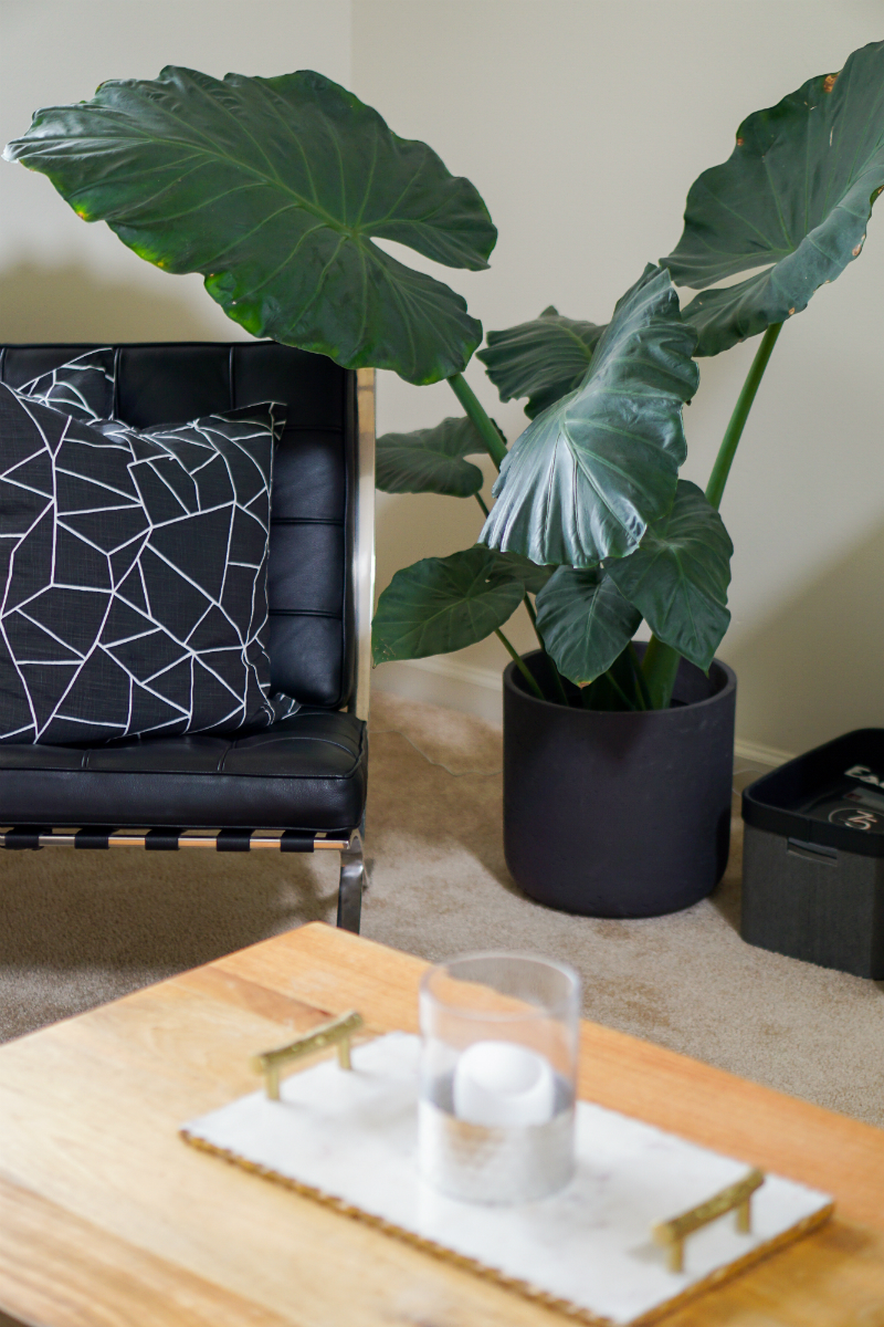 Easy Effortless Ways To Create an Eco-Friendly Home