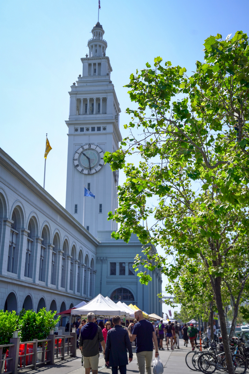 Fun Ideas To Inspire You To Do a Day Trip in San Francisco