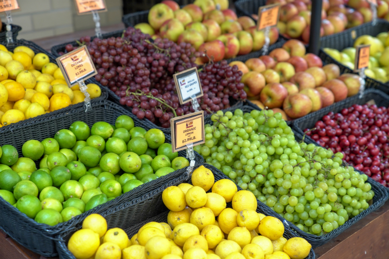 Fun Ideas To Inspire You To Do a Day Trip in San Francisco