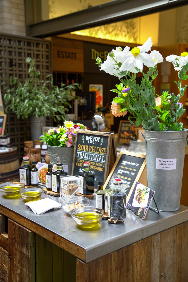 Fun Ideas To Inspire You To Do a Day Trip in San Francisco