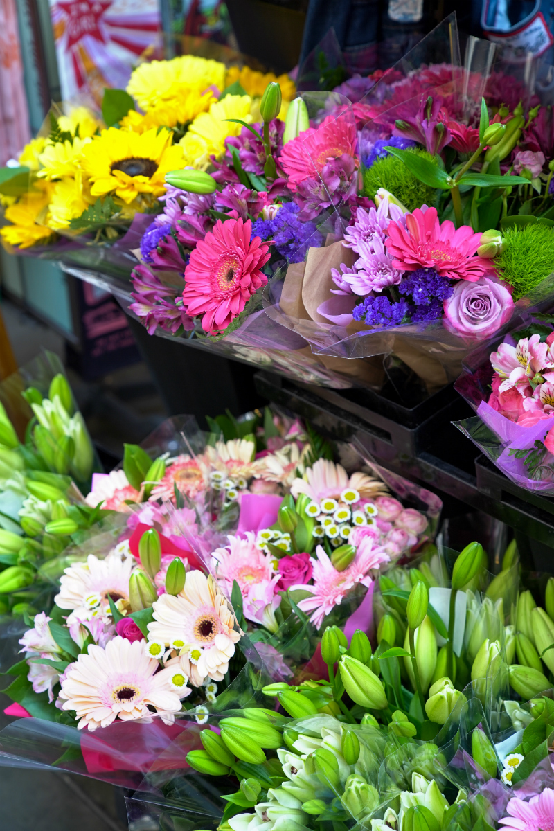 Fun Ideas To Inspire You To Do a Day Trip in San Francisco