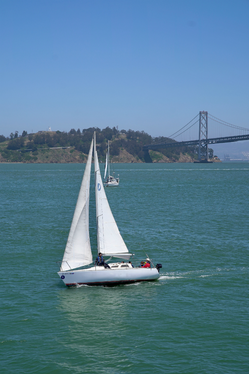 Fun Ideas To Inspire You To Do a Day Trip in San Francisco