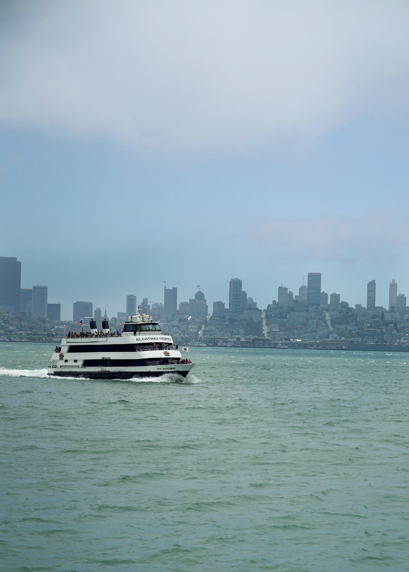 Fun Ideas To Inspire You To Do a Day Trip in San Francisco