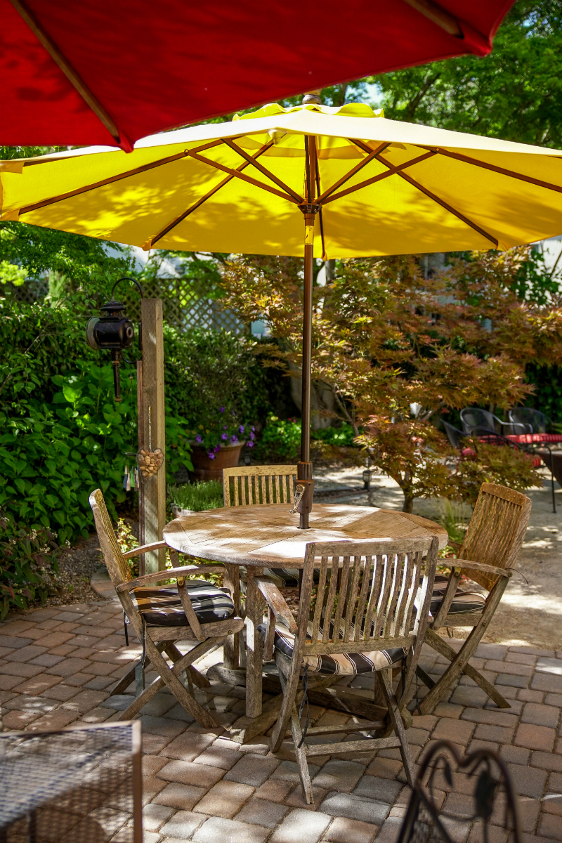 The Dog Lover's Guide to Visiting Downtown Napa