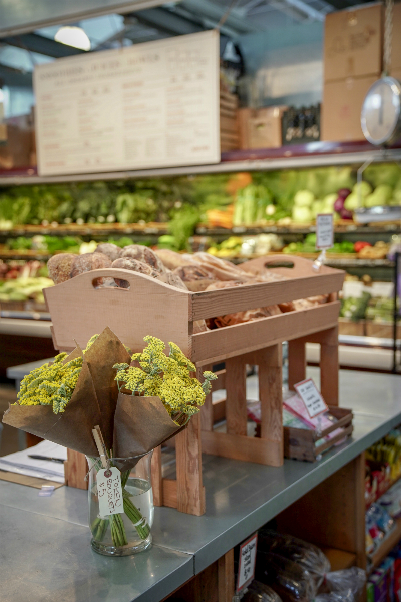 The Dog Lover's Guide to Visiting Downtown Napa