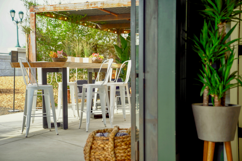 The Dog Lover's Guide to Visiting Downtown Napa