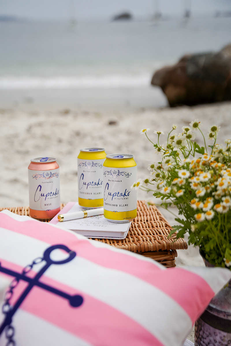 Entertaining Guide: How To Make Your Beach Picnic More Joyful with Cupcake Vineyards