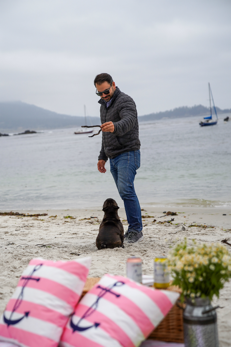 Entertaining Guide: How To Make Your Beach Picnic More Joyful with Cupcake Vineyards