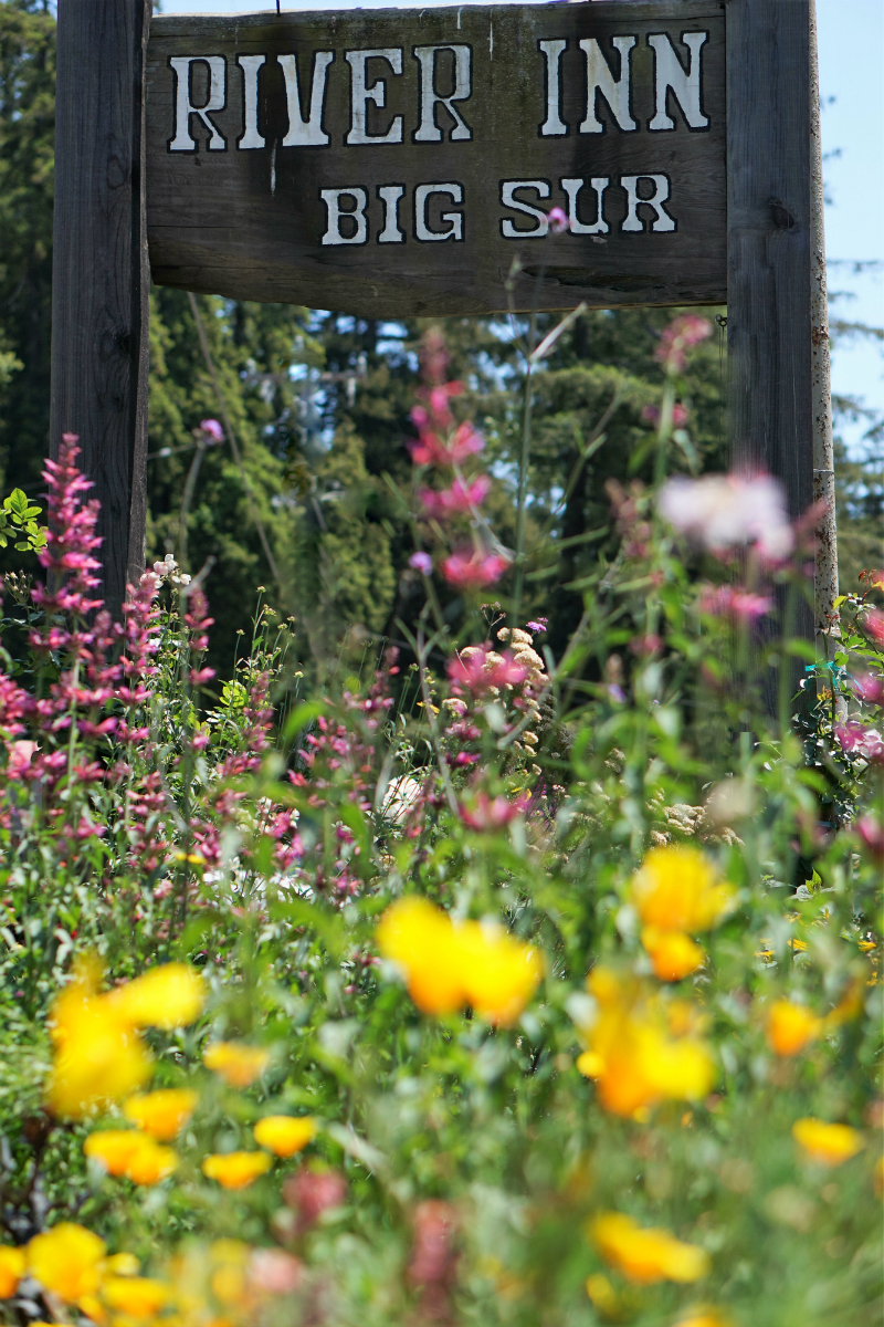 Travel Guide: Inspiring Places to Visit in Big Sur California