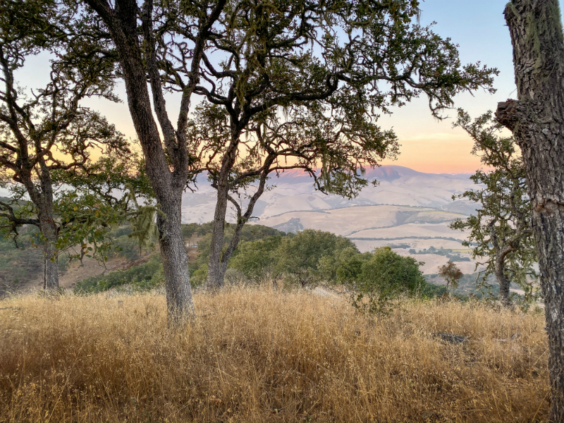 Secret Supper and Roca Patron Dinner Series in Monterey County