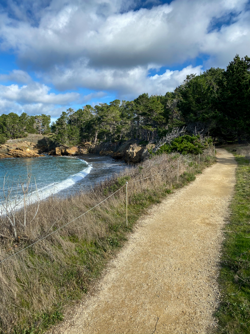 Fresh Ways To Make Your Fitness Routine More Fun