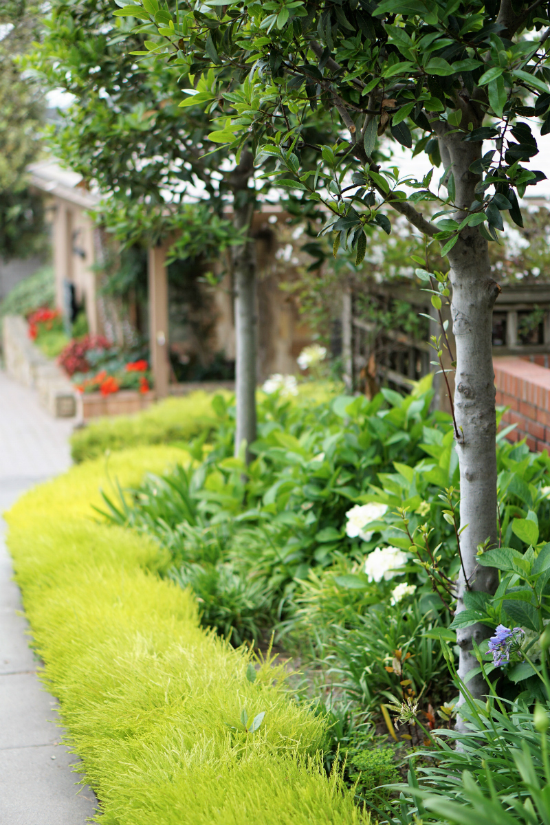 5 Ways to Celebrate the Spring Equinox at Home