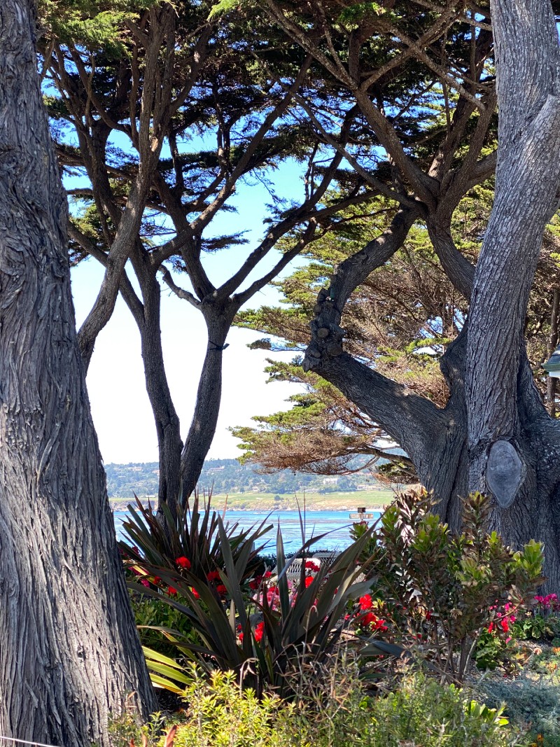 5 Spiritual Rituals to do this Weekend to Celebrate The Summer Solstice & The Solar Eclipse