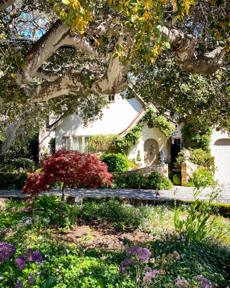 5 Spiritual Rituals to do this Weekend to Celebrate The Summer Solstice & The Solar Eclipse