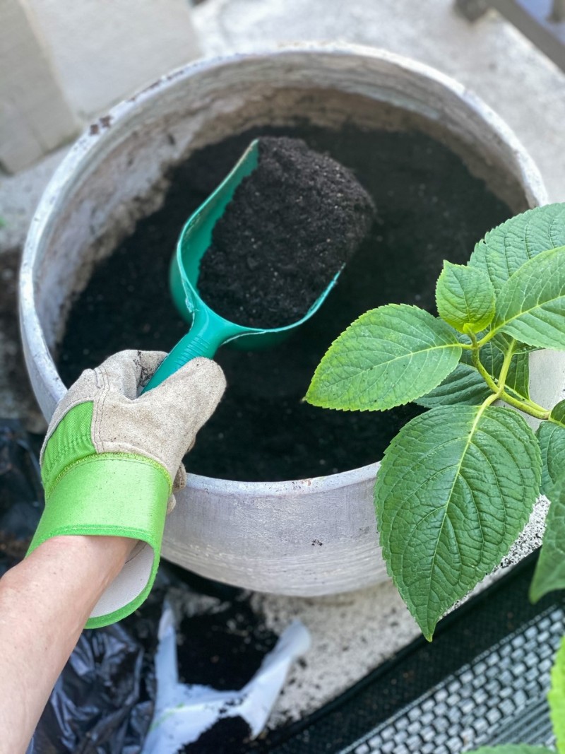 The Mindful Gardener - How To Turn Gardening into a Meditation