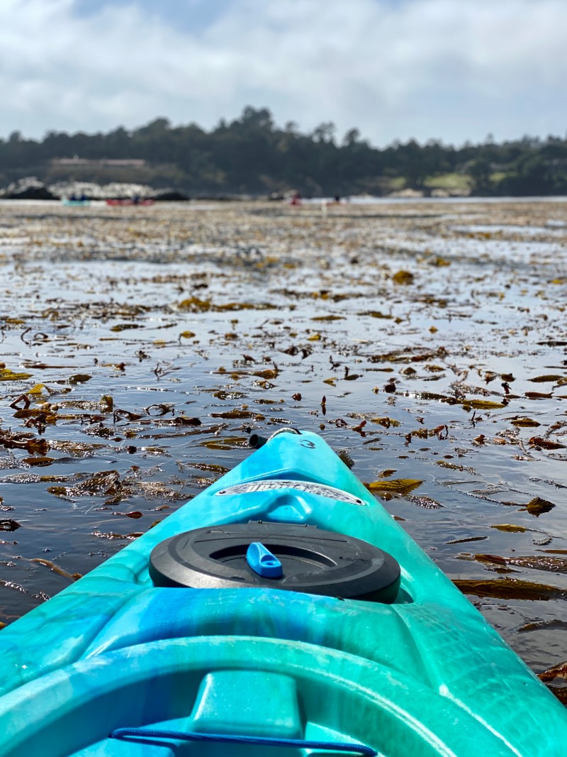 3 Ways To Shift Your Mindset To Embrace Life Changes and New Experiences