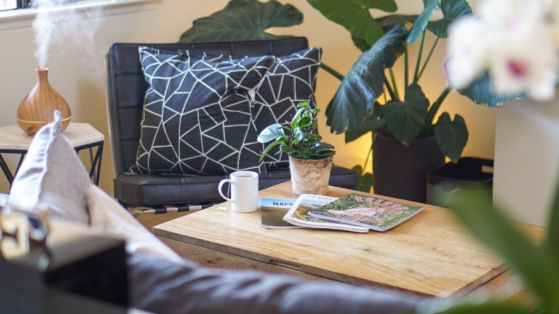 5 Reasons Why Using a Diffuser and Essential Oils Can Create a Healthier Home