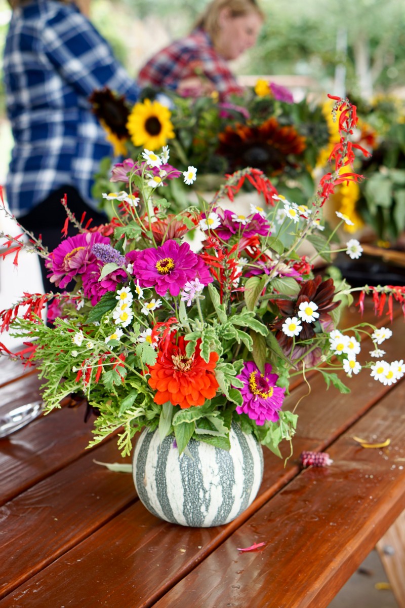 10 Fun Ways To Celebrate Autumn - Things To Do During Fall