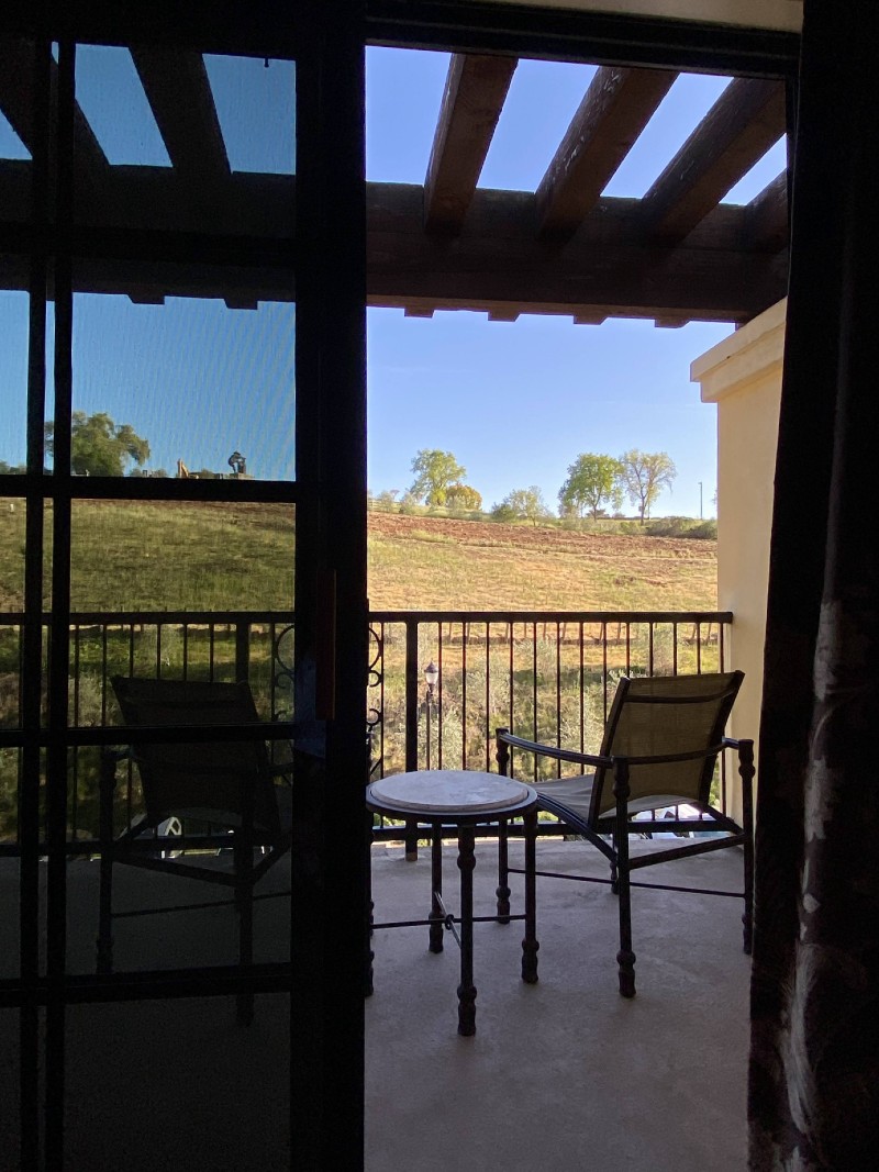 Solo Travel Tips for Visiting Napa Valley