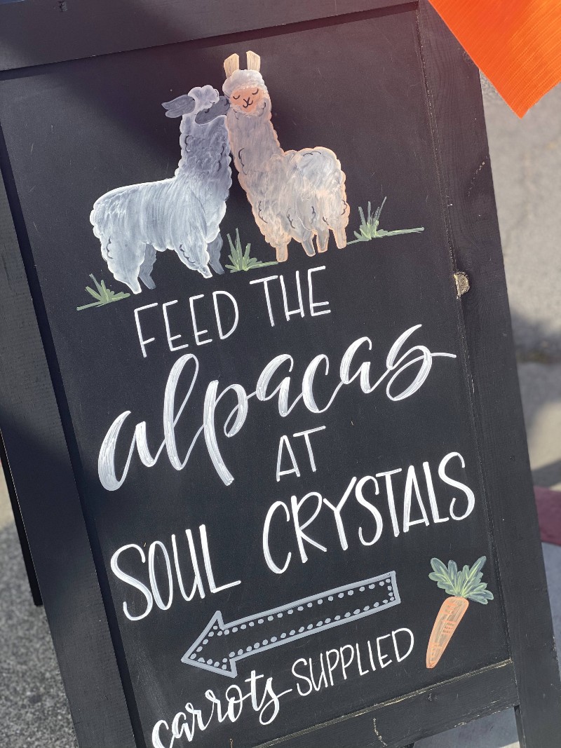 Solo Travel Tips for Visiting Napa Valley