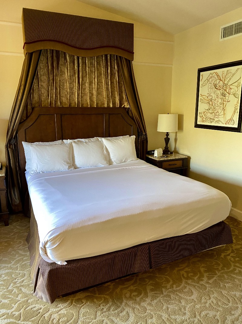 Solo Travel Tips for Visiting Napa Valley